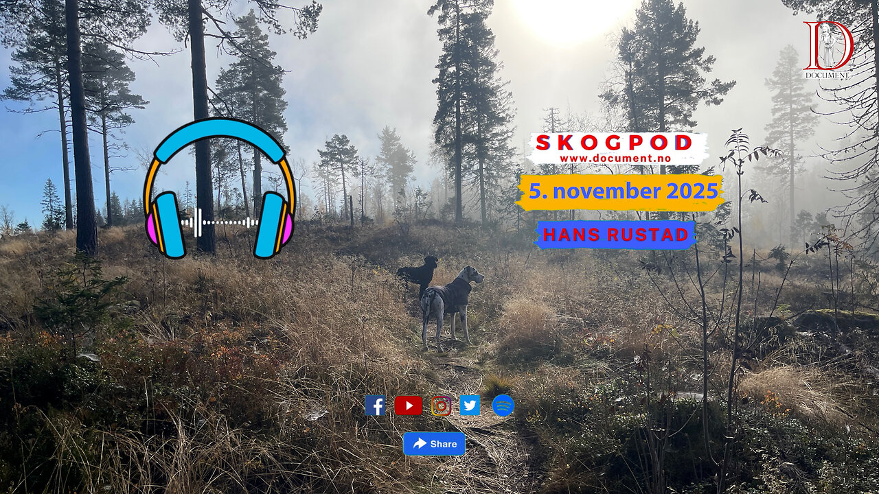 Skogpod 5. november 2025