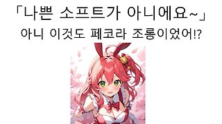 우사다 페코라 포켓몬 개조 롬 사건 조롱한 사쿠라 미코