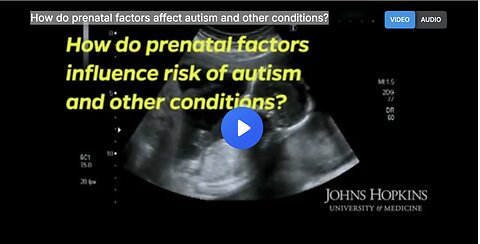 How do prenatal factors affect autism and other conditions?