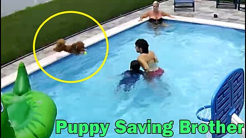 Puppy Saving Brother from Drowning