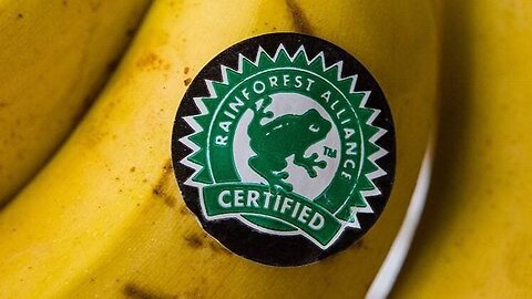 It's GMO Tuesday Time.....Bayer to file Bankruptcy??