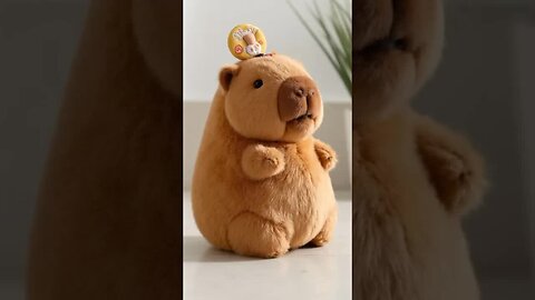😅 capybara 😍