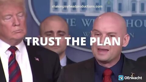 SMHP: Zohran Mamdani! Remember Remember The 5th Of November!