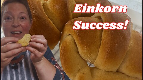 Making Crescent Rolls with Einkorn for the FIRST Time! | Fluffy, Buttery & Beginner-Friendly