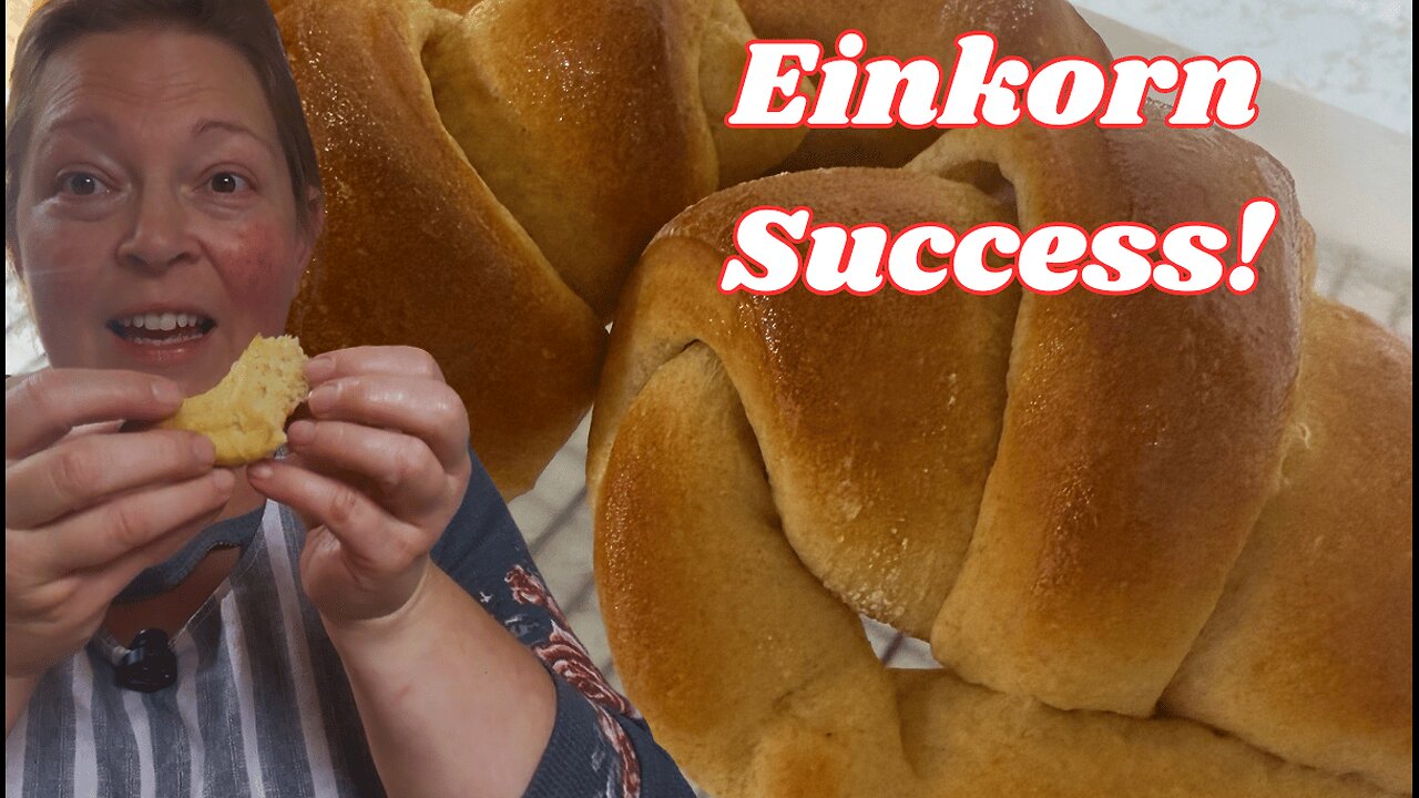 Making Crescent Rolls with Einkorn for the FIRST Time! | Fluffy, Buttery & Beginner-Friendly