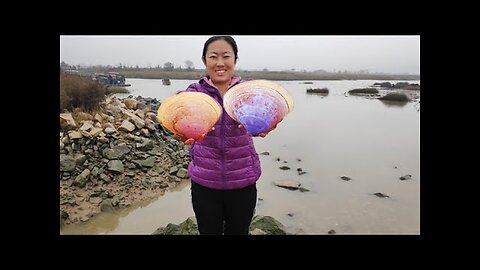 Pearls, Freshwater Pearl Mussels, Saltwater Pearl Mussels, Purple Pearls