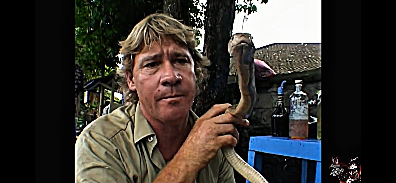 Crocodile Hunter Hated Live Meat Markets
