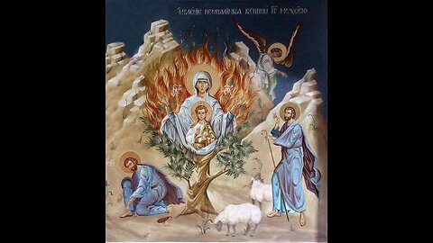 MARY THE BURNING BUSH GOD IS IN HER SHE IS NOT CONSUMED HER VIRGINITY IS NOT CONSUMED #truth #jesus