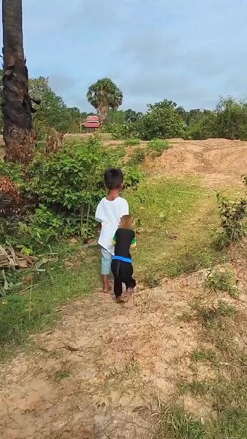 Lovely animal SokYaa, OG, Pao Mom Are Famous Around The World #shorts #anime #trend #edit