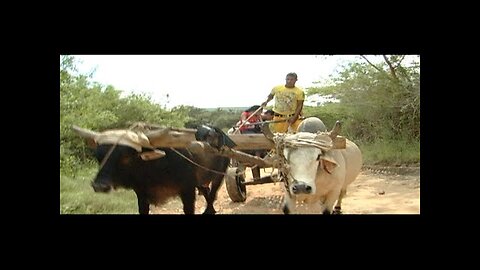 The Last Taíno [Full Documentary]