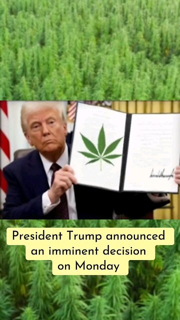 President Trump on marijuana reclassification