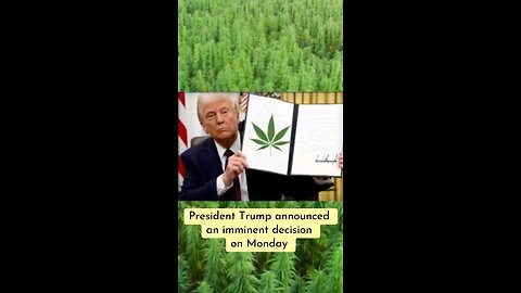 President Trump on marijuana reclassification
