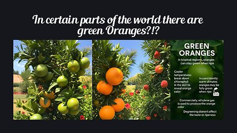 Fun Fact for Aug 10th 2025 Pt 2