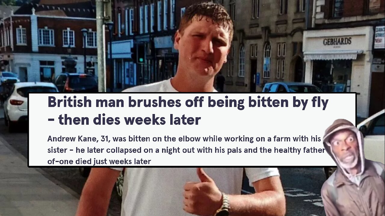 I've seen it all! Andrew Kane - Killed by a fly??? 🤯