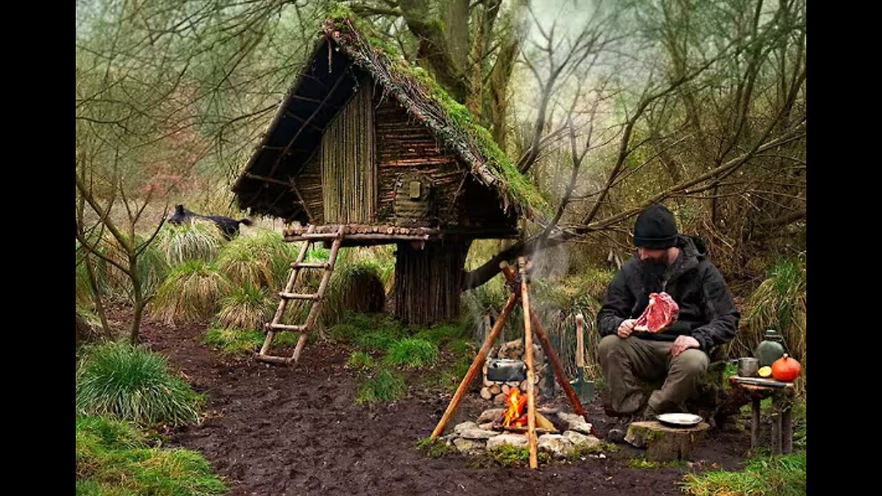 Build the wood survival shelter in the forest | Bushcraft & Campfire 🔥
