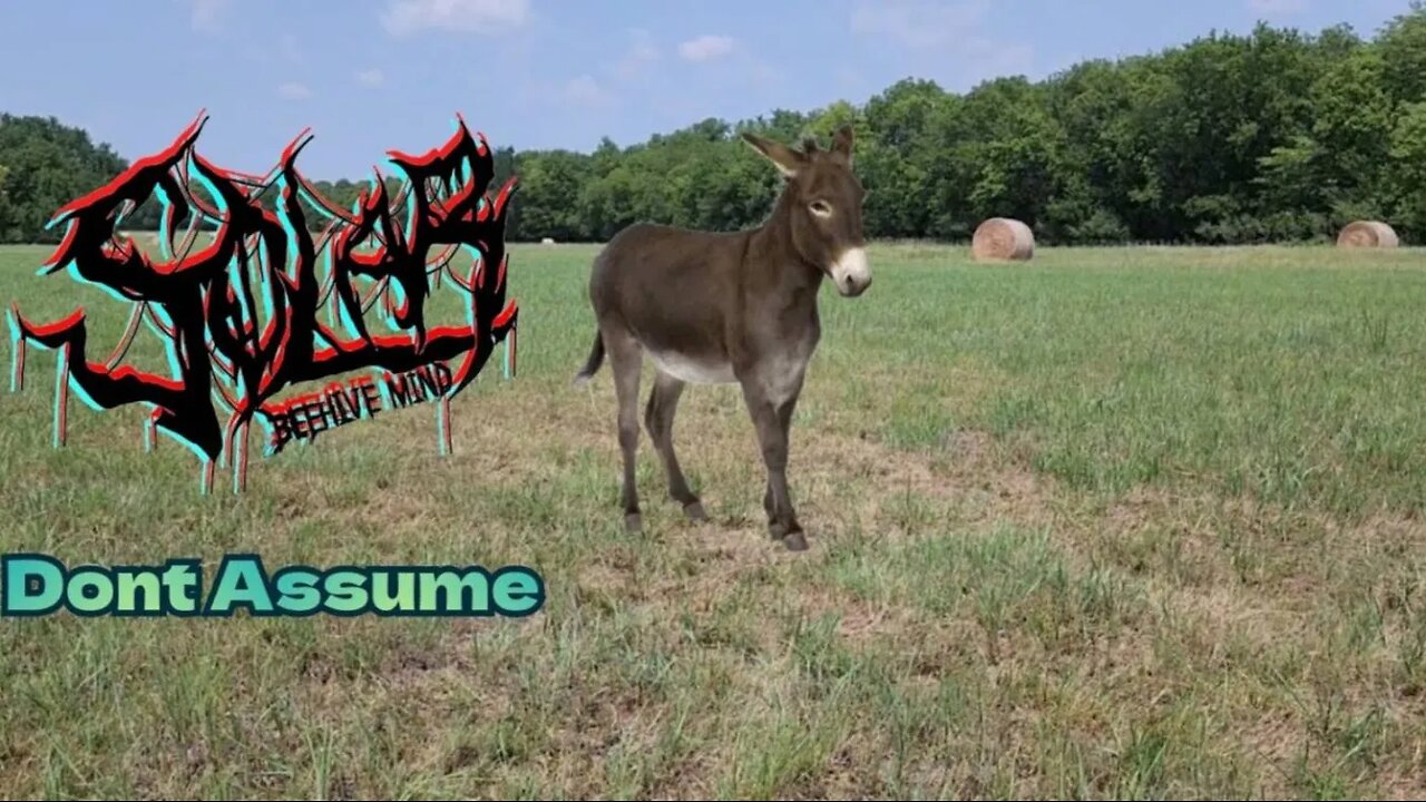Solarism - E15 S1 • Dont Assume (Reupload From YT)