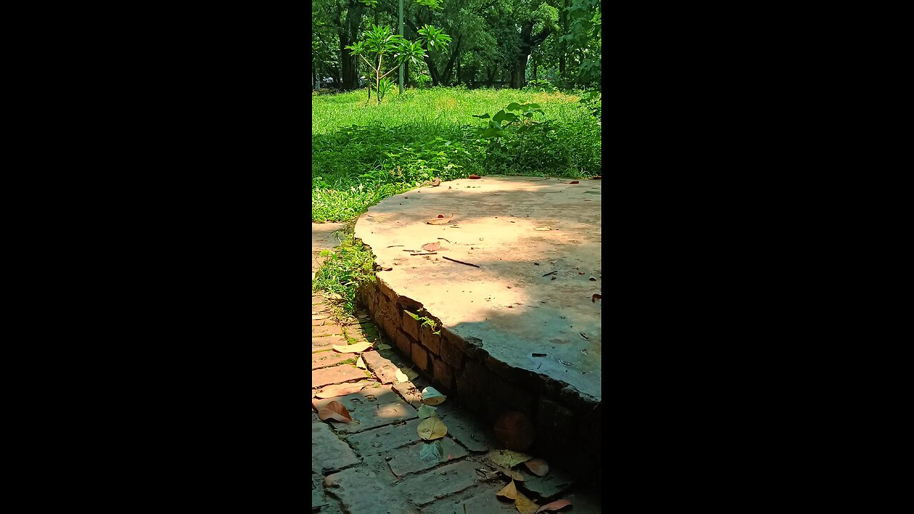 Ever Feel Like You Are Chasing Something Small? Shot on Redmi Note 12 Pro 5g