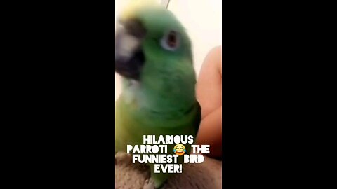 "Try Not to Laugh! 😂 Watch This Hilarious Parrot Crack Up! 🦜💥"