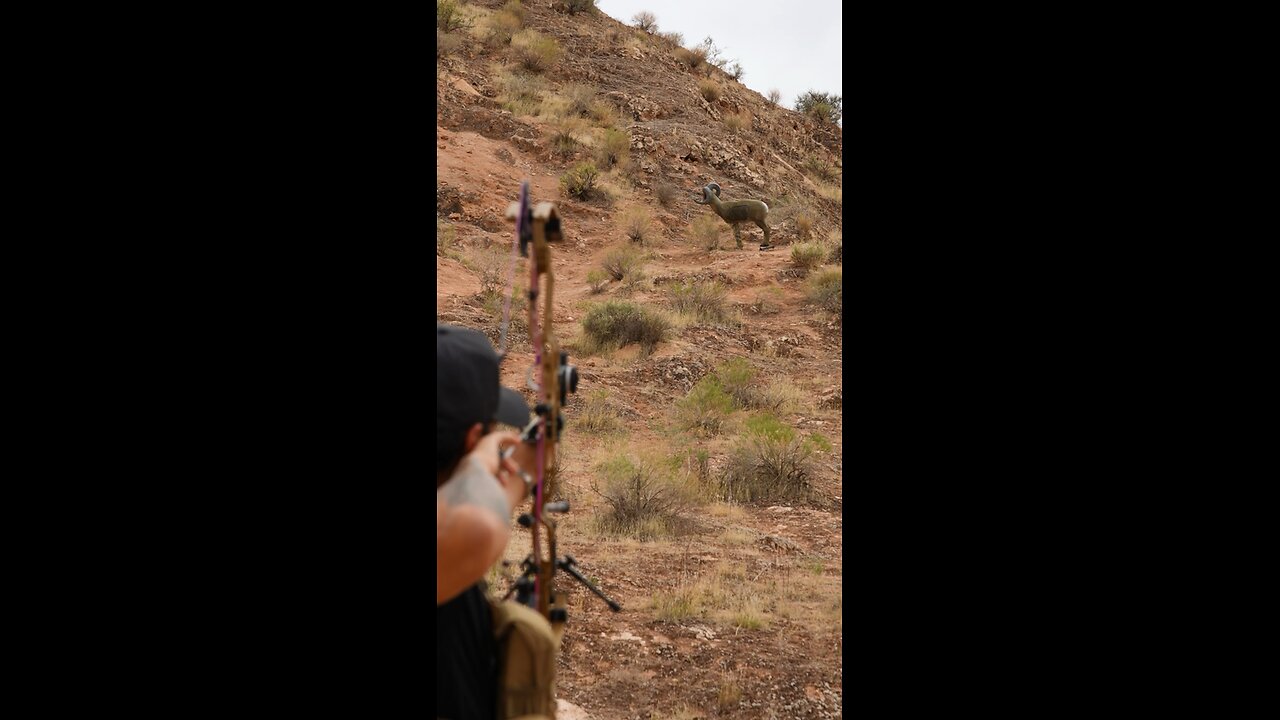 3d archery