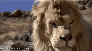 Lionsgate Portal [88 MPH] LIVE 5:58pm Chat With SpaceyCasey82