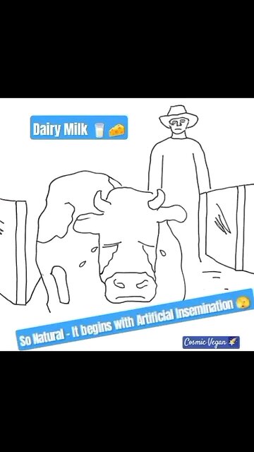 DAIRY - So Natural It Starts With ARTIFICIAL Insemination 🫣💔😓