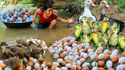 Women Help baby Duck and egg At river - Fried egg for dog Eating delicious