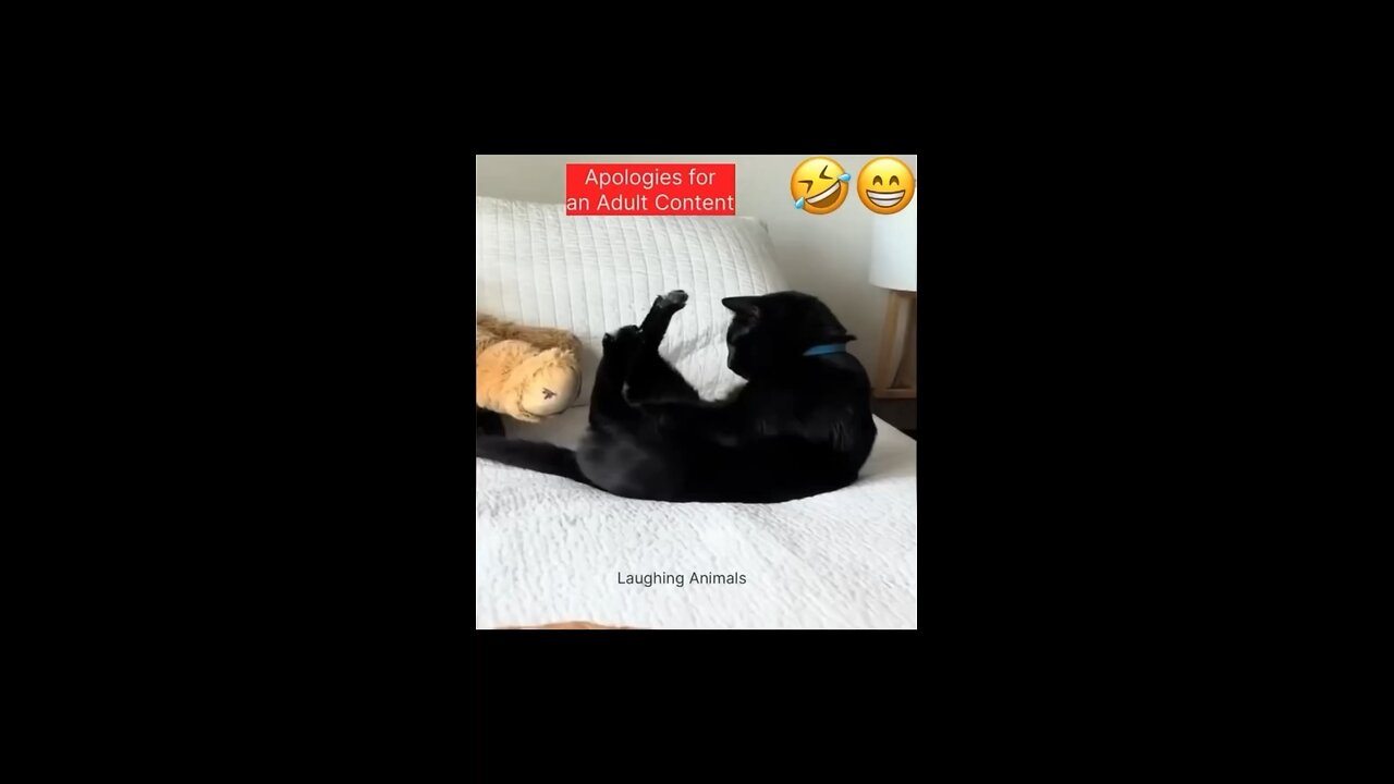 Cat having PRIVATE Time🤣😁🤣