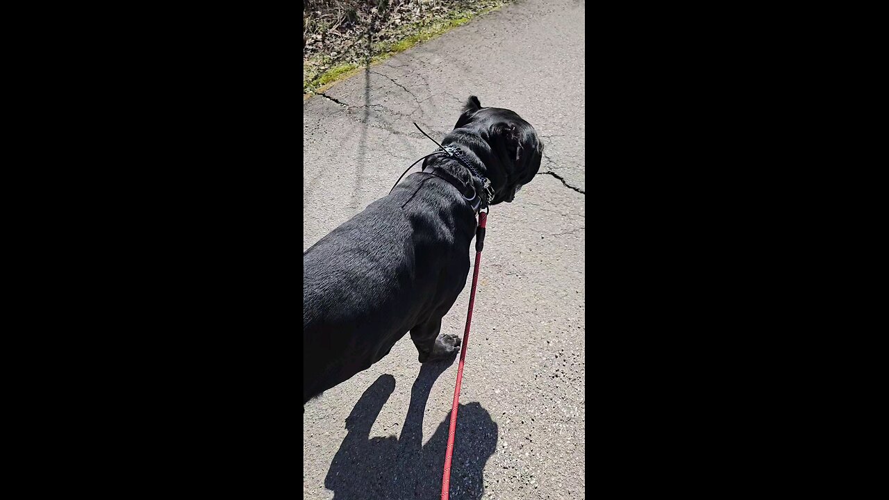Spring walk