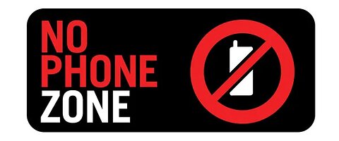 Just say NO to Mobile voting!!!!