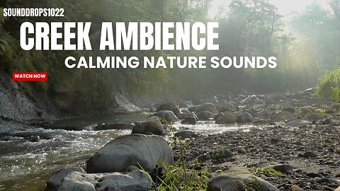 90 Minutes of Creek Ambience: Calming Nature Sounds