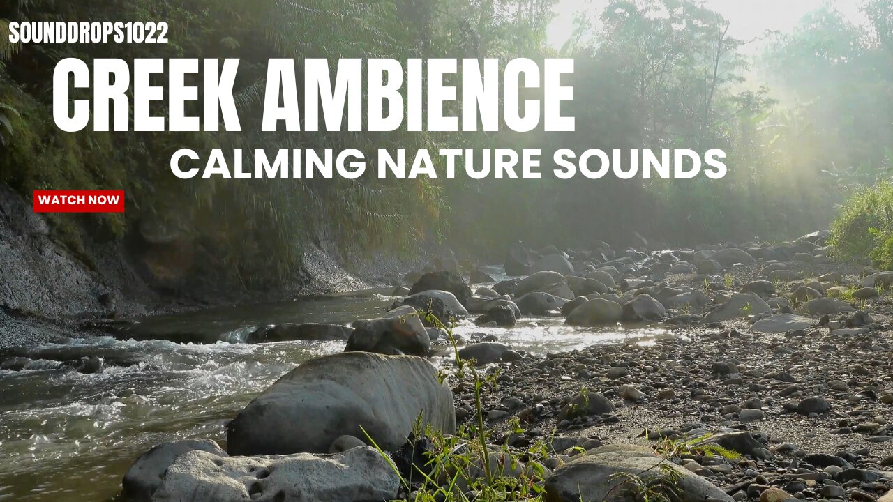 90 Minutes of Creek Ambience: Calming Nature Sounds