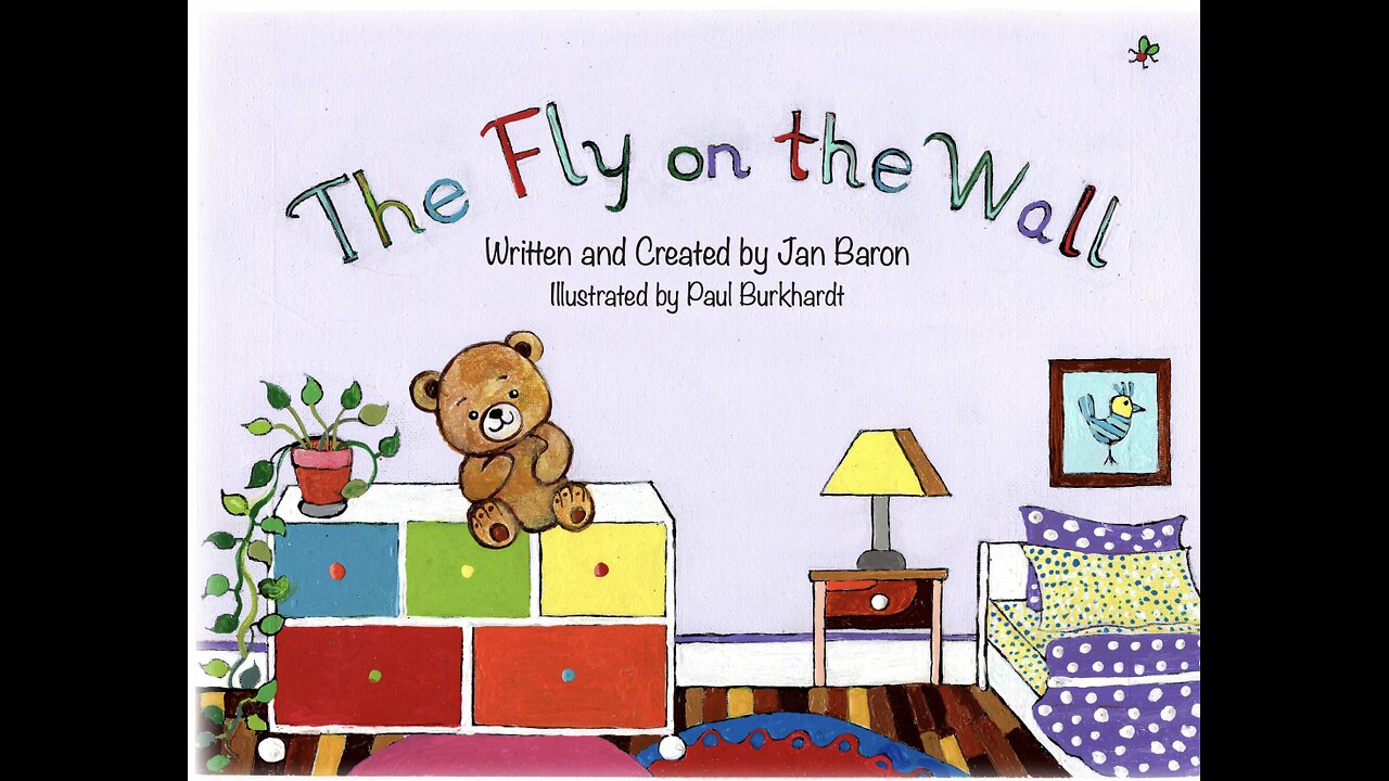 If you were a fly on the wall, what would you see and what would you do?