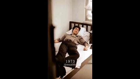 The legendary life of brucelee