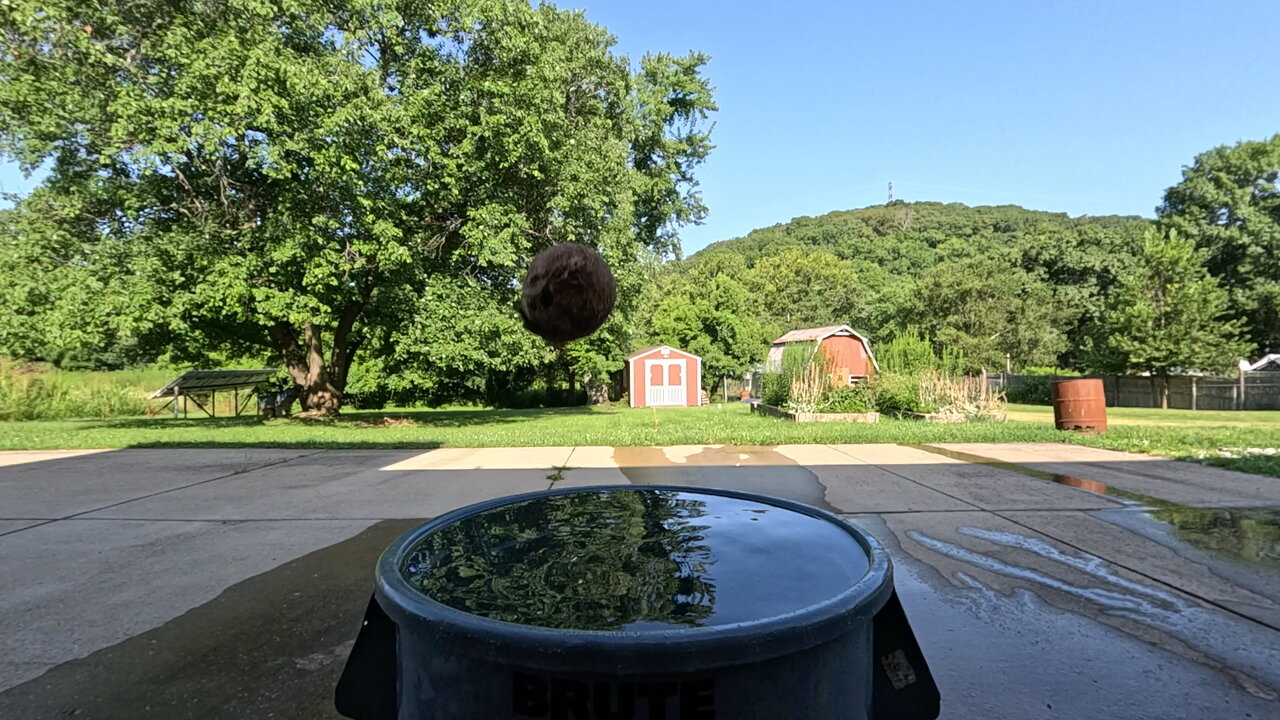 Slow Motion Grapefruit Drop / Splash