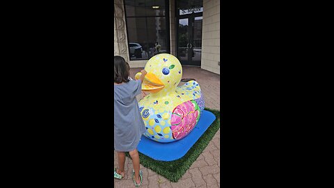 Naperville Ducks 1