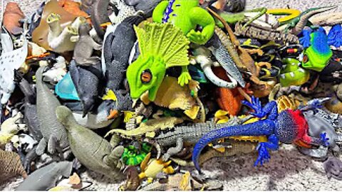 200 Sea Animals & Reptiles - Crocodiles, Alligator, Seal, Walrus, Penguin, Puffin, Manta Ray