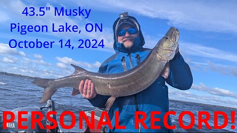 43.5" Musky - PR!
