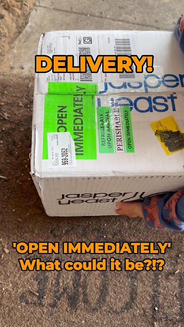 Delivery! 'OPEN IMMEDIATELY' - What could it be?!?