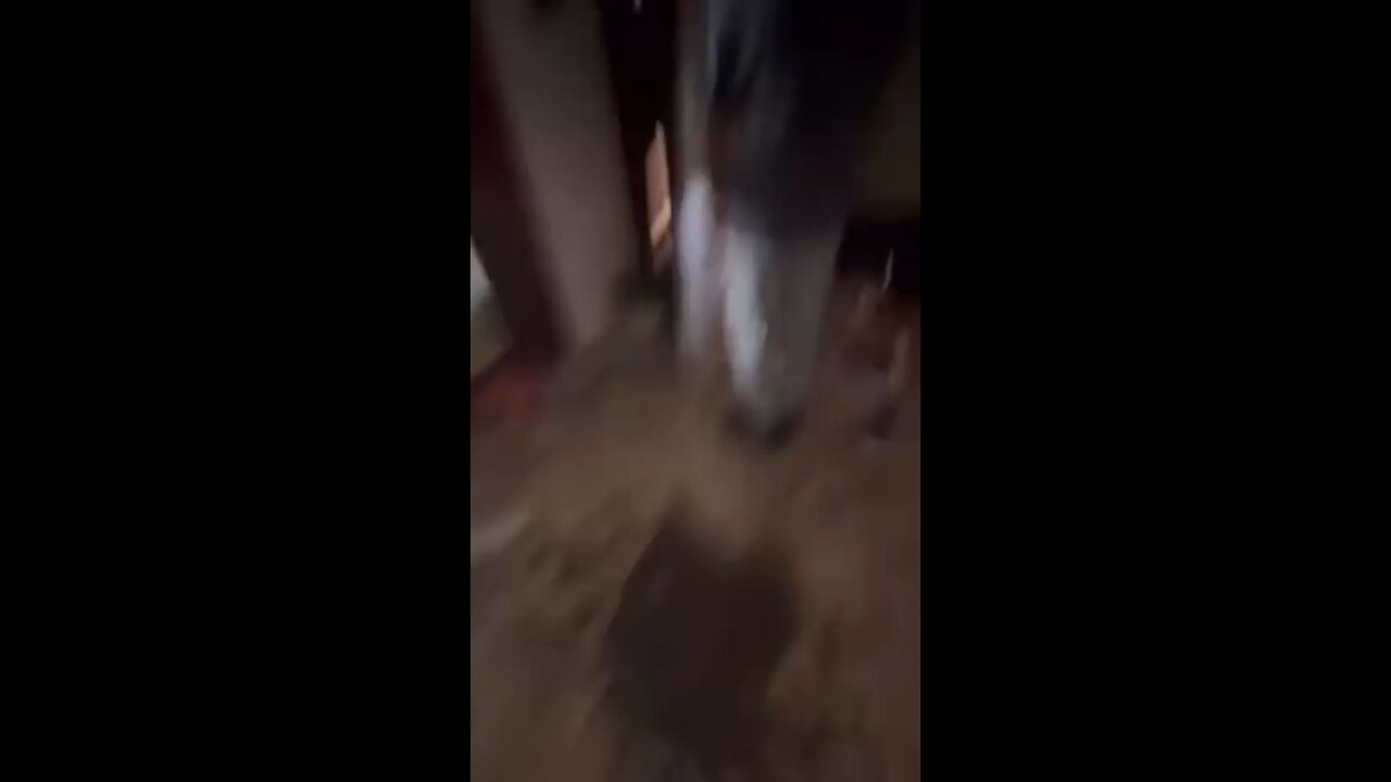 FREE NEPAL
