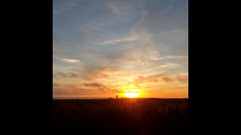 Long Walk Home Reaction To Bruce Springstein at Sunset, on the Bluffs, Fort Bragg. August 6, 2025.