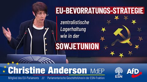 EU-Bevorratungs-Strategie -- Zentralistische Lagerhaltung wie in der Sowjetunion