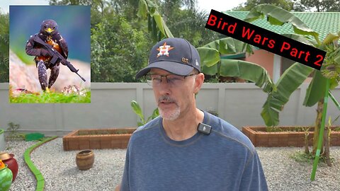 Bird Wars Part 2 - 6.12.25