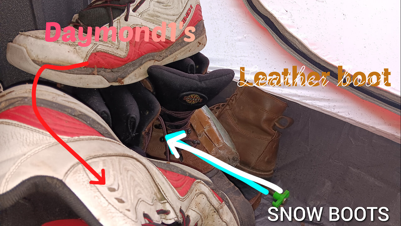 Which Shoes Do You Choose?