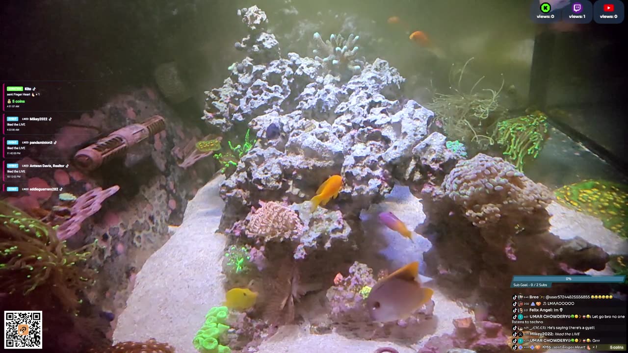 24/7 Real Live Reef Stream