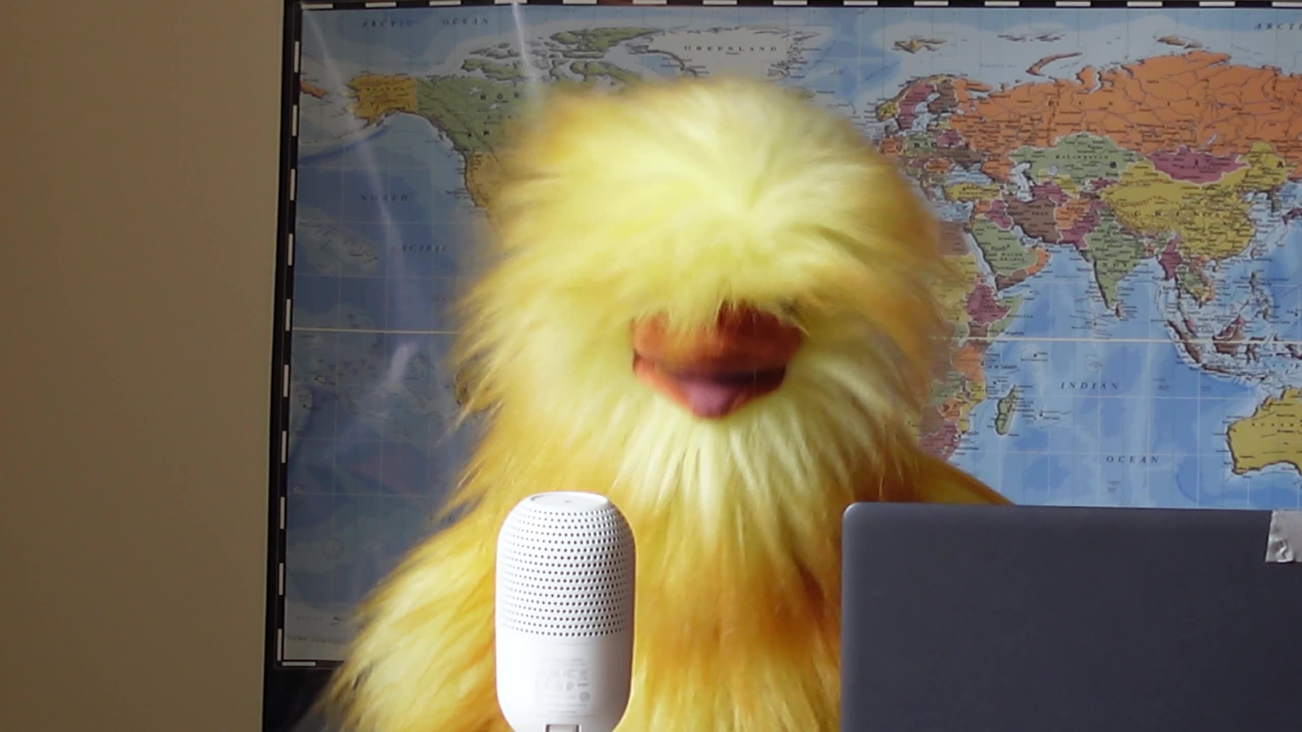 Henrietta goes BALLISTIC on TORONTO POLICE Chief