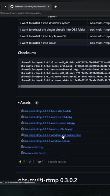 Multistream OBS Plugin