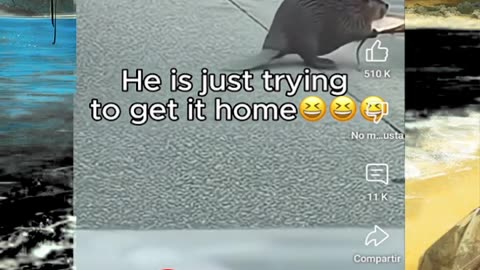 Just shorts videos 😜 #shorts #viralvideos #trending #funnyshorts #shortsfeed #memes #funny #anime