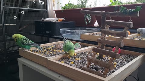 Loric, Prothall & Mhoram