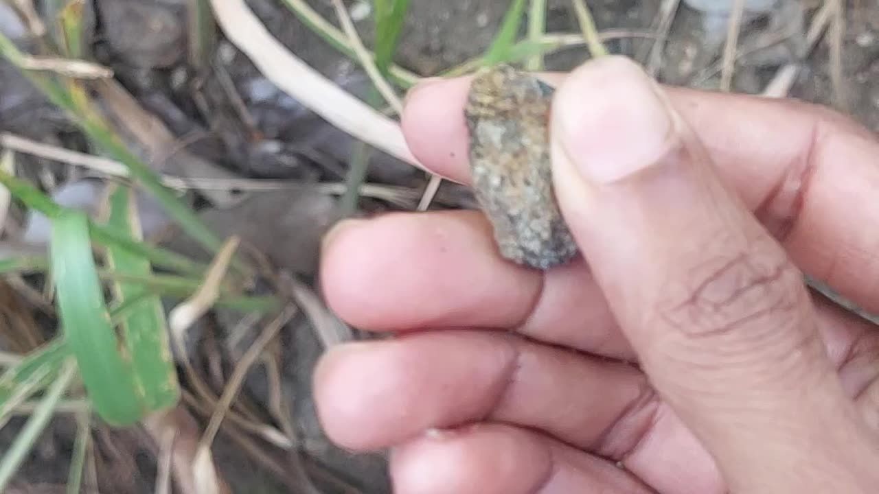 Finding Treasure 🤑 – Part 6 | More Hidden Riches & Surprising Discoveries!