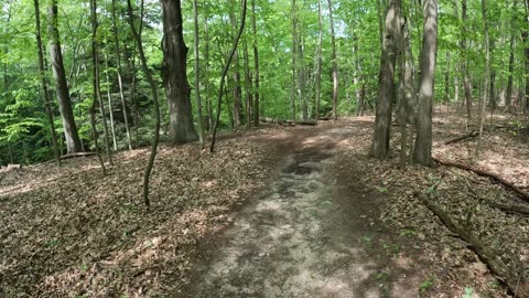Pier Cove Paradise -- House Loop ... Spring of 2025
